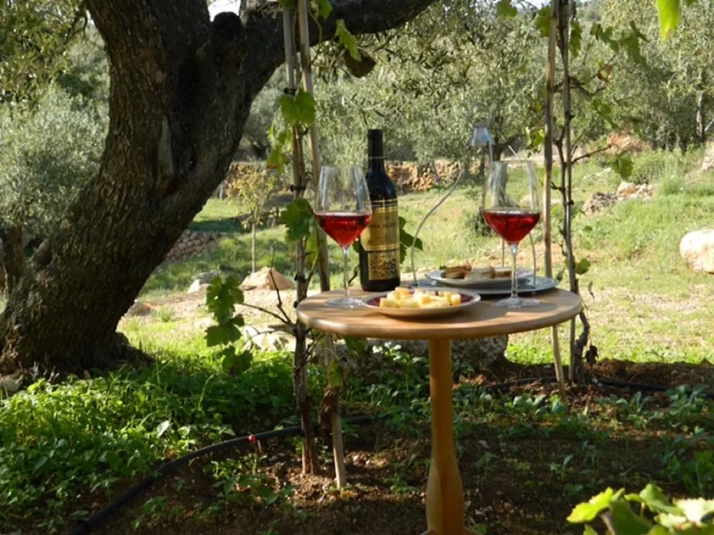 Casa Rural Delta del Ebro Ecoturismo Affittacamere Camarles 0*,