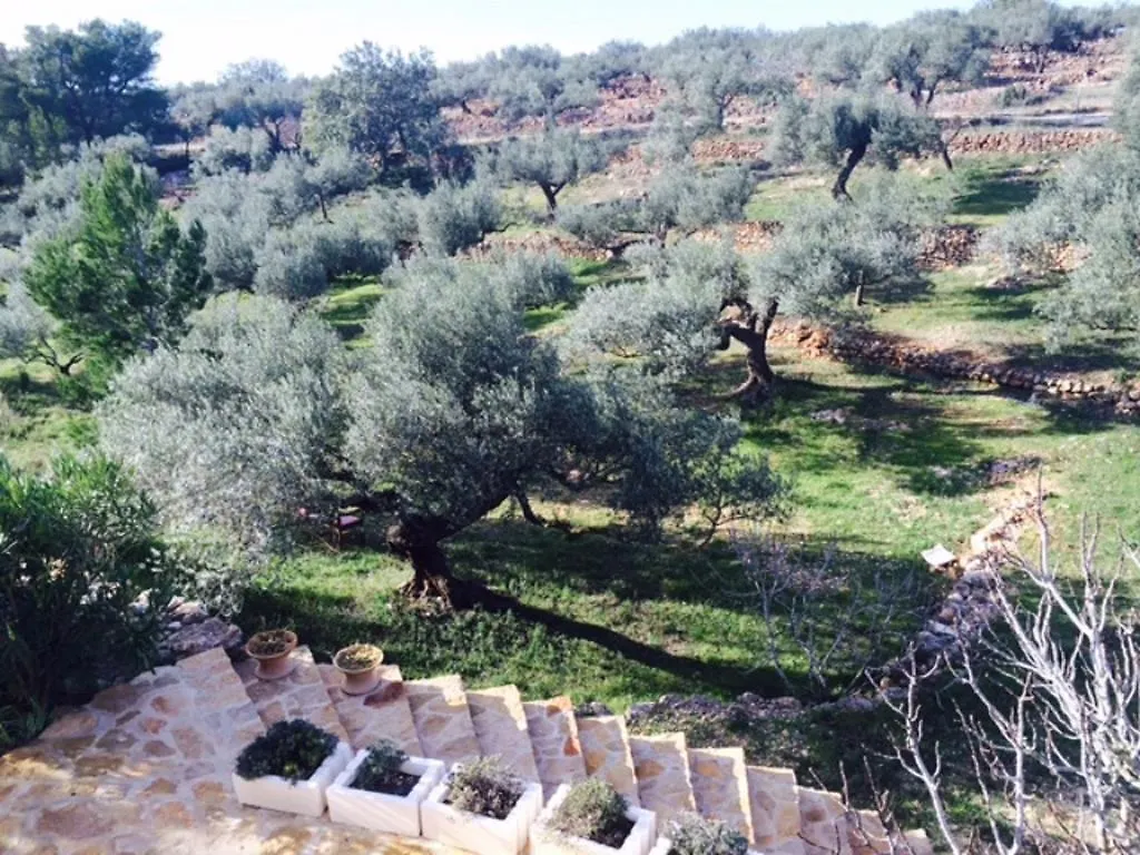 Casa Rural Delta del Ebro Ecoturismo Hostal Camarles España
